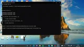 Django enviroment and server