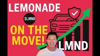 is $LMND Lemonade Insurance the TOP STOCK TO BUY NOW?
