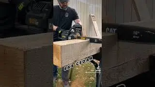 NEW CAT 60V 16&rdquo; BRUSHLESS Chainsaw! Speed & Power!