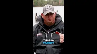 Mastering the Rattle Trap for Shallow Water Fishing