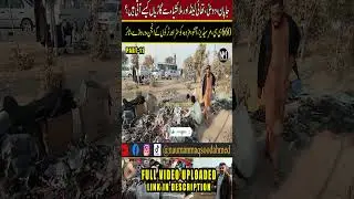 Part-11 Alert For Car Lovers | Cheap Imported Cars & Parts  | EP-324 @naumanmaqsoodahmed
