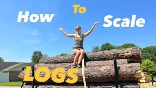How to SCALE and purchase LOGS at a SAWMILL!!!