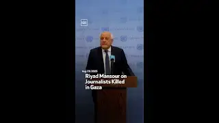 Riyad Mansour on Journalists Killed in Gaza