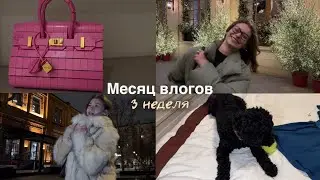 Месяц влогов (3 неделя): новогодняя Москва, биркин из лего, обсуждаем situationship