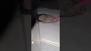 #art #drawingprocess #shortvideo #youtubeshorts #youtube #nitu🎨🖌️