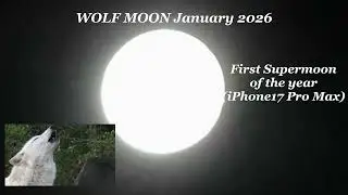 First Wolf Moon of the Year January 3, 2026
