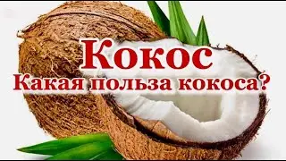 ЧЕМ ПОЛЕЗЕН КОКОС?What are the benefits of coconut?#israel #coconut  #afula #крепкийорешек