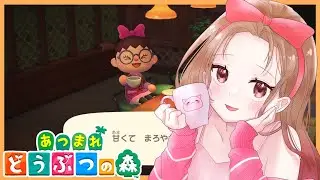 【 #あつ森 】まったりおしゃべり☕#126