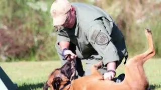 K9 Ryder Tribute- Sound of Silence
