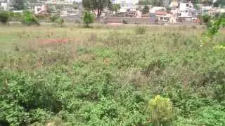 Land for Sale 1200 sqft ₹66.00Lakhs in SMV Layout 2nd Block , Bangalore