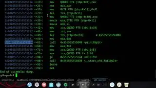 Programmazione in C - #8 Puntatori e dereferencing operator