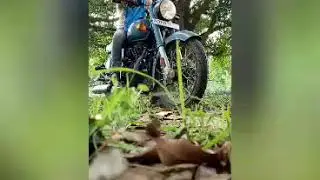 Picture with Bullet