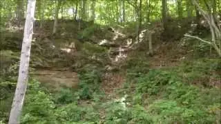 SOLD -  52 Acres for Sale State Route 691, Athens County, OH