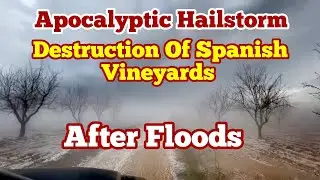 Hailstorm Destroyed Vineyards In Spain, Climate Chaos, Global Warming, Climate Change, Grape, Wine