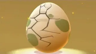 ANNOYING Egg Glitch! 5km Eggs Disappeared After Hatching! No Pokemon Received!!