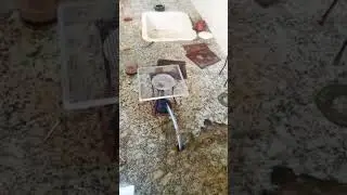 chemistry practical apparts #new #viral #video 🥰