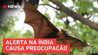 Nipah no Brasil: Minist&eacute;rio da Sa&uacute;de descarta amea&ccedil;a do v&iacute;rus no pa&iacute;s
