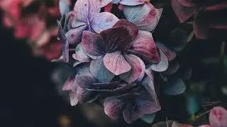 LOOPer feat. Andy Wooding - All We Are (Shomu Remix) [Silk Music]