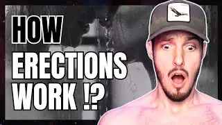 'Erectile Function' - (How Erections Work: 5 Simple Steps!)