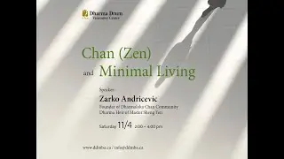 Zarko Andricevic 