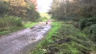 Peniglen Training