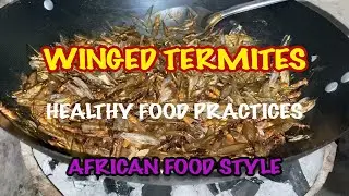 Winged Termites