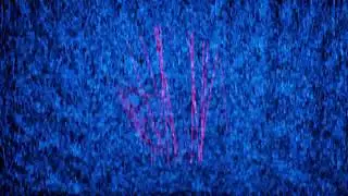 Lichtlinien