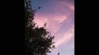[FREE] fats'e x guardin midwest emo type beat | 