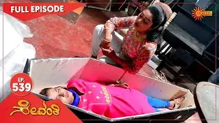 Sevanthi - Ep 539 | 02 April 2021 | Udaya TV Serial | Kannada Serial