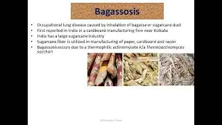 Pneumoconiosis