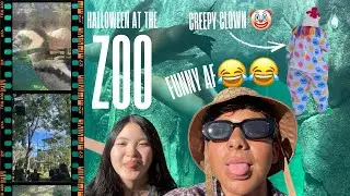 HALLOWEEN AT THE ZOO! 
