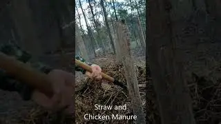 Making Compost