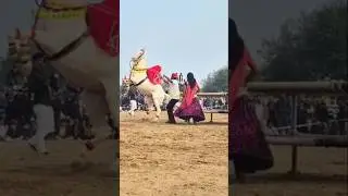 horse dance videos 📸📸🎶 #dj #song #sad #love #horse #horsetrancedance #djsong #horsetrack
