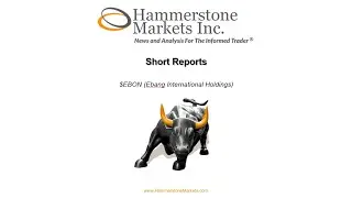 $EBON Case Study Hammerstone Markets