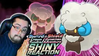SHINY WHIMSICOTT REACTION!!! #Shorts