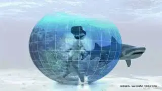 Homido Promo Movie
