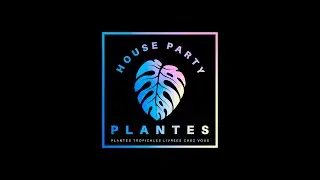 Philodendron pastazanum silver