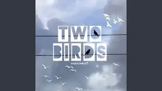 Two Birds
