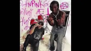 New Lil Uzi Vert - Catfish Snippet  &bull; Beat is actually WILD the Sample is Beautiful 🔥🔥🦇🌸💿🔊👹🎣