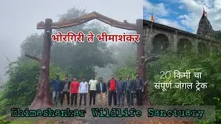 20 KM Jungle Trek 😱 | Bhorgiri to Bhimashankar