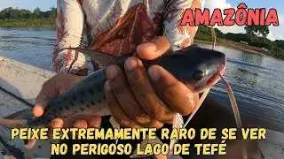 Peixe EXTREMAMENTE RARO no PERIGOSO lago de Tef&eacute;