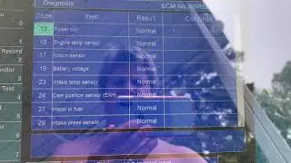 F250 knocking with Yamaha diagnostic flags showing