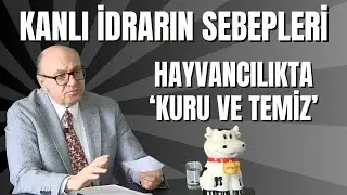 Kanlı İdrarın Sebepleri / Hayvancılıkta ‘Kuru Ve Temiz’