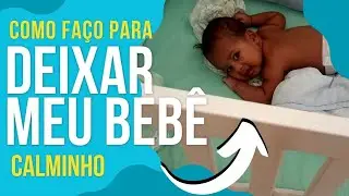 COMO FA&Ccedil;O PARA DEIXAR MEU BEB&Ecirc; CALMINHO