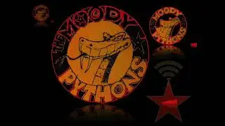 Moody Pythons - Shy is the butterfly
