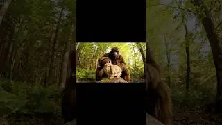 Trust Meme 👀 #gorilla #funny #viral #meme #memes #ai