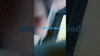 my friend AnyPin died so funny