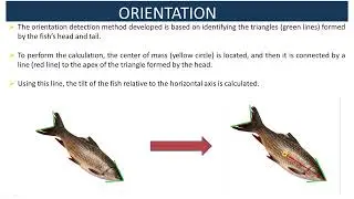 smartFish-Fish Recognition and Tracking