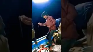 Deep Sea Fishing🐟#shorts #shortsfeed #fishing #youtubeshorts #ytshorts #nature #sea #explore #foryou