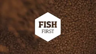 2022 EWOS FISH FIRST throughout the value chain